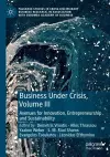 Business Under Crisis, Volume III cover