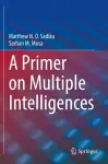 A Primer on Multiple Intelligences cover