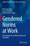 Gendered Norms at Work cover