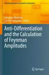 Anti-Differentiation and the Calculation of Feynman Amplitudes cover