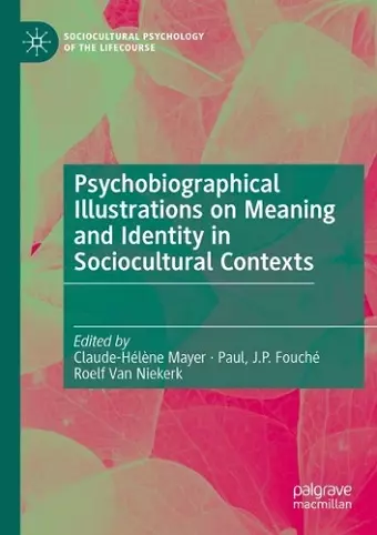 Psychobiographical Illustrations on Meaning and Identity in Sociocultural Contexts cover