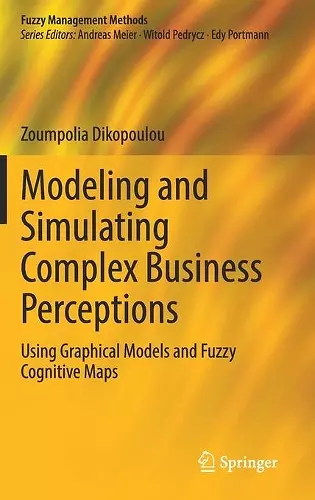 Modeling and Simulating Complex Business Perceptions cover