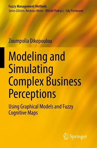Modeling and Simulating Complex Business Perceptions cover