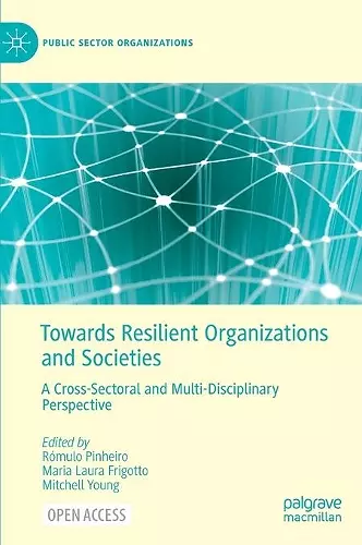 Towards Resilient Organizations and Societies cover