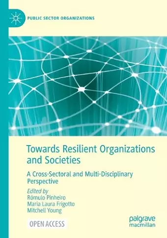 Towards Resilient Organizations and Societies cover