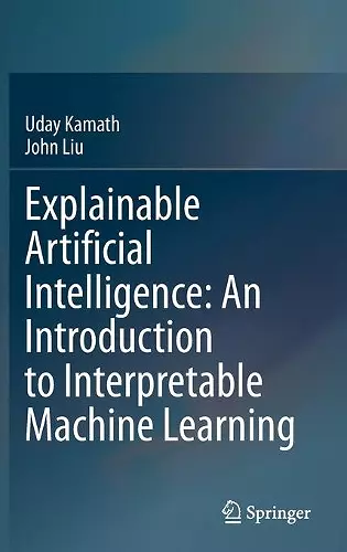 Explainable Artificial Intelligence: An Introduction to Interpretable Machine Learning cover