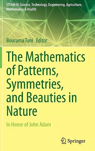 The Mathematics of Patterns, Symmetries, and Beauties in Nature cover