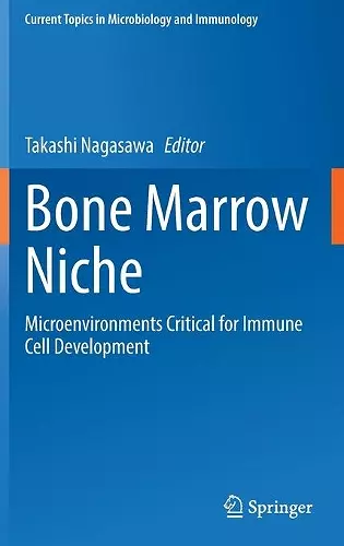 Bone Marrow Niche cover