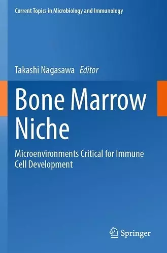 Bone Marrow Niche cover