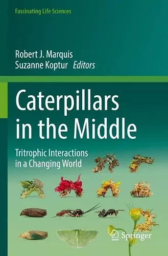 Caterpillars in the Middle cover