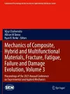 Mechanics of Composite, Hybrid and Multifunctional Materials, Fracture, Fatigue, Failure and Damage Evolution, Volume 3 cover