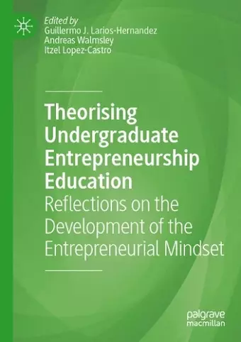 Theorising Undergraduate Entrepreneurship Education cover