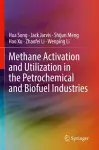 Methane Activation and Utilization in the Petrochemical and Biofuel Industries cover