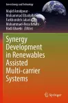 Synergy Development in Renewables Assisted Multi-carrier Systems cover