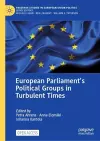 European Parliament’s Political Groups in Turbulent Times cover