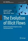 The Evolution of Illicit Flows cover