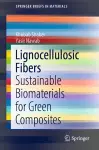 Lignocellulosic Fibers cover