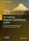 The Solfatara Magmatic-Hydrothermal System cover