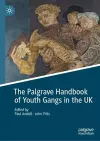 The Palgrave Handbook of Youth Gangs in the UK cover