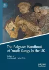 The Palgrave Handbook of Youth Gangs in the UK cover