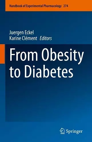 From Obesity to Diabetes cover