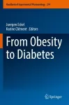 From Obesity to Diabetes cover