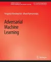 Adversarial Machine Learning cover