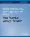 Visual Analysis of Multilayer Networks cover