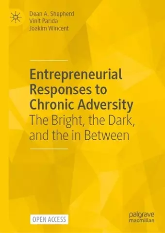 Entrepreneurial Responses to Chronic Adversity cover