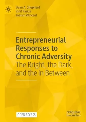 Entrepreneurial Responses to Chronic Adversity cover