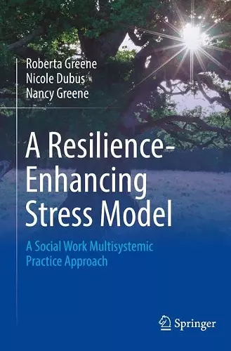 A Resilience-Enhancing Stress Model cover
