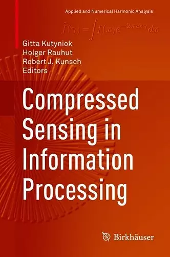 Compressed Sensing in Information Processing cover