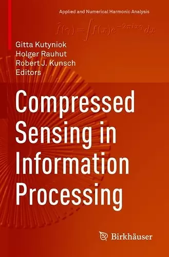 Compressed Sensing in Information Processing cover