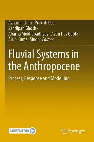 Fluvial Systems in the Anthropocene cover