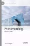 Phenomenology cover