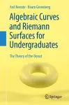 Algebraic Curves and Riemann Surfaces for Undergraduates cover