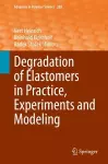 Degradation of Elastomers in Practice, Experiments and Modeling cover