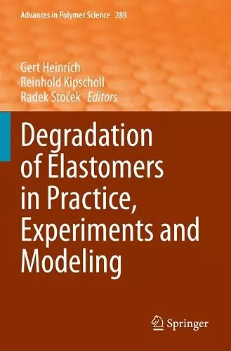 Degradation of Elastomers in Practice, Experiments and Modeling cover