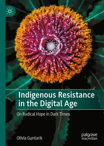 Indigenous Resistance in the Digital Age cover