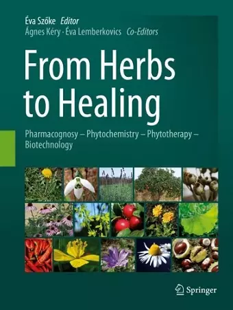 From Herbs to Healing cover