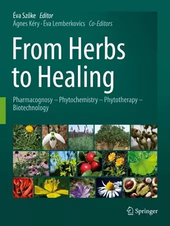 From Herbs to Healing cover