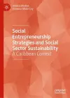 Social Entrepreneurship Strategies and Social Sector Sustainability cover