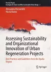 Assessing Sustainability and Organizational Innovation of Urban Regeneration Projects cover