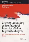 Assessing Sustainability and Organizational Innovation of Urban Regeneration Projects cover