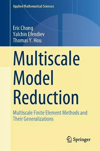 Multiscale Model Reduction cover