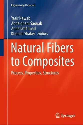 Natural Fibers to Composites cover