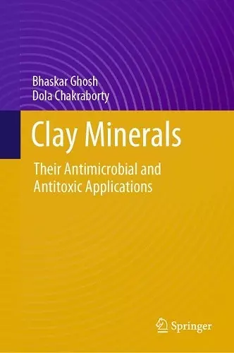 Clay Minerals cover