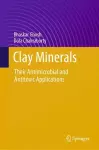 Clay Minerals cover