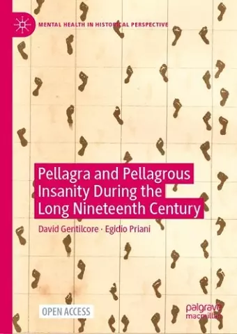 Pellagra and Pellagrous Insanity During the Long Nineteenth Century cover