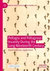 Pellagra and Pellagrous Insanity During the Long Nineteenth Century cover